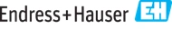 Endress+Hauser (E+H)